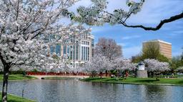 Hoteles cerca de Aeropuerto Huntsville