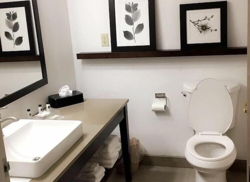 Baño Foto