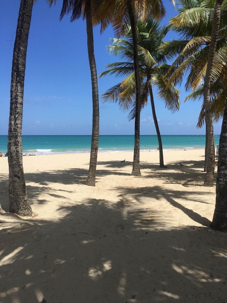 Playa