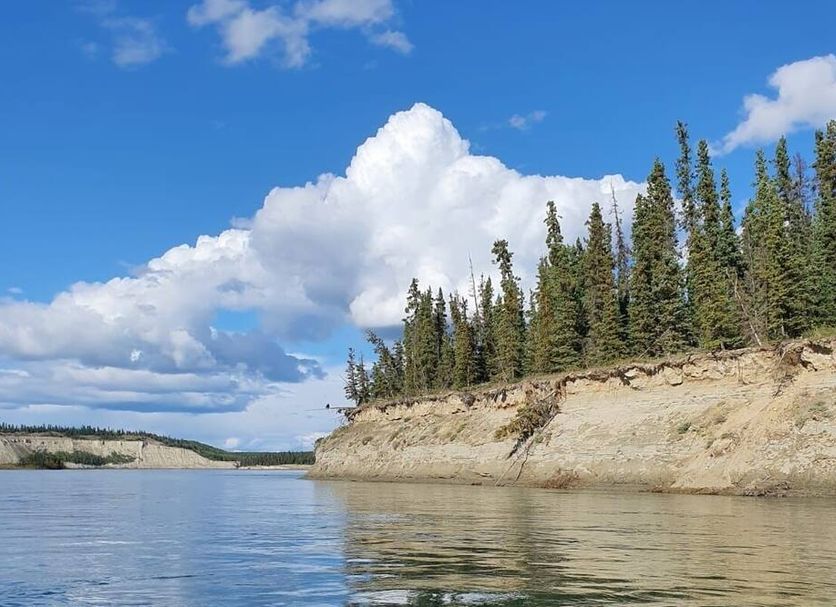 Servicio del hotel Foto