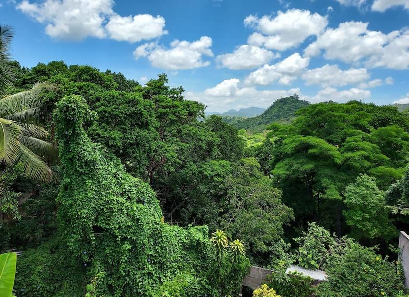 Vista del exterior Foto