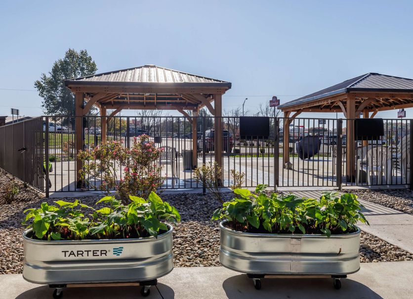 Servicio del hotel Foto